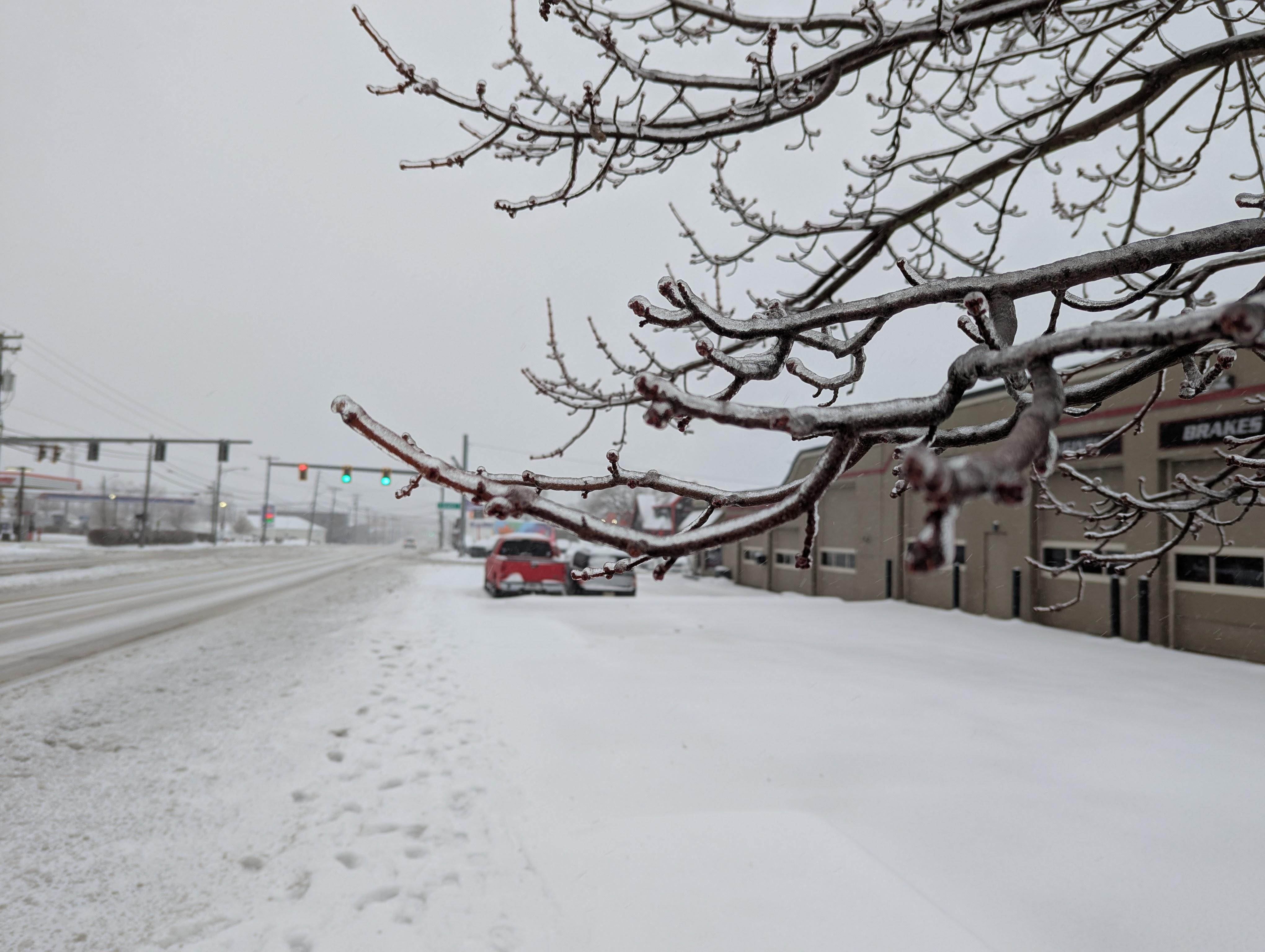 Photo of an ice-covered tree branch in the foreground focus, with a snowy road and intersection blurred in the background.