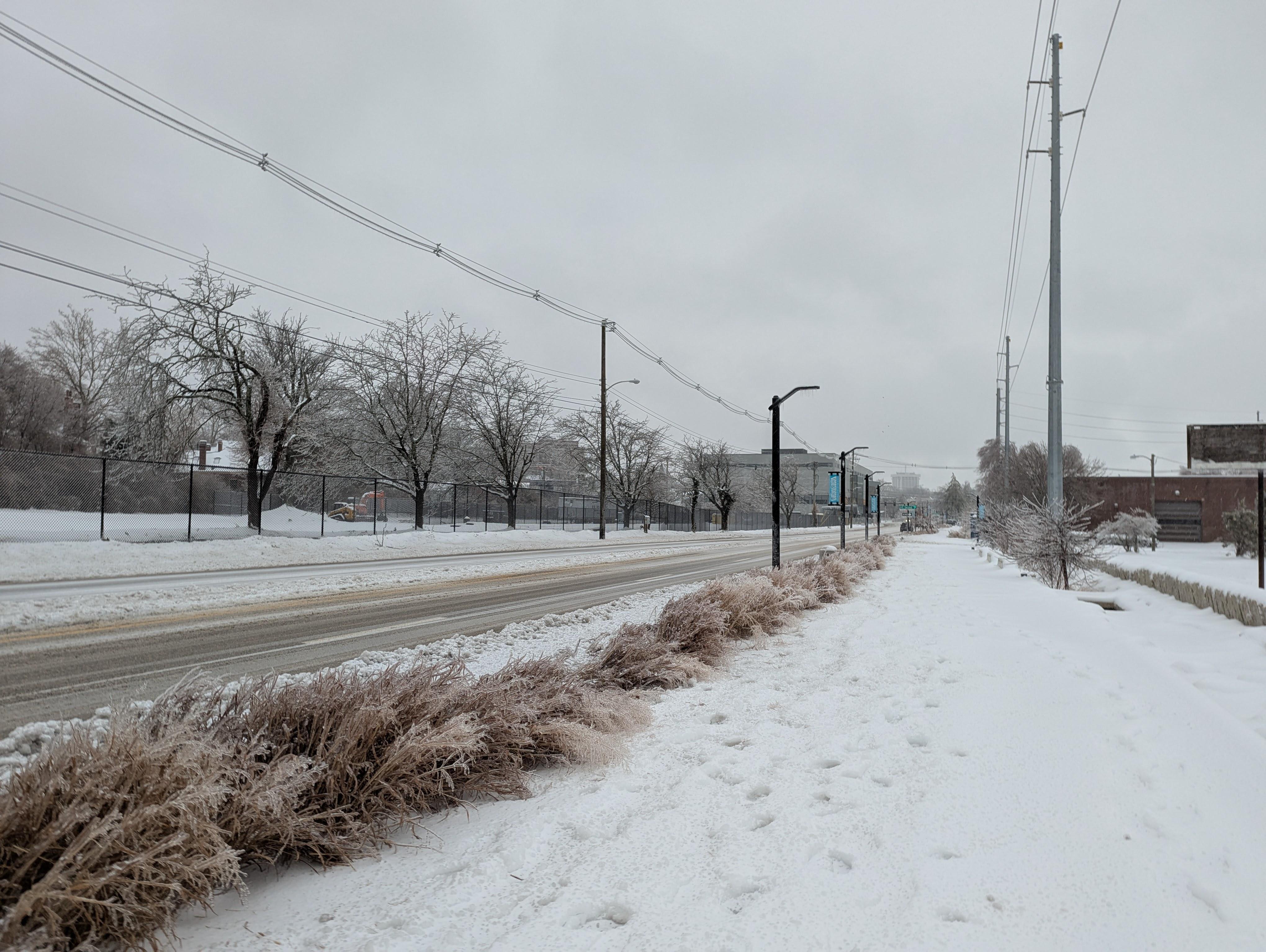 Photo of a snow-covered sidewalk lined with icy bushes. The road is plowed but still lightly snowy, and stretches on into the distance downtown.